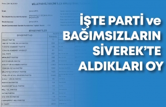 Siverek'te Milletvekili seçim sonuçları