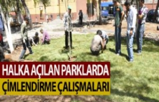 Halka Açılan Parklarda Çimlendirme Çalışmaları