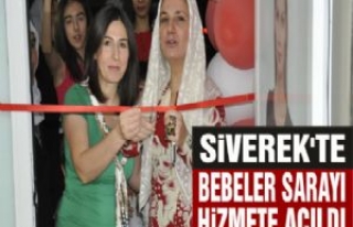 Siverek'te Bebeler Sarayı Hizmete Açıldı