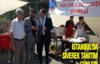 İstanbul'da Siverek Tanıtım Günleri Düzenlendi