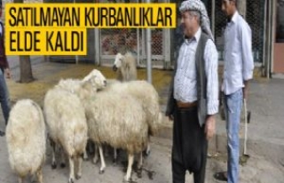 Satılmayan Kurbanlıklar Elde Kaldı