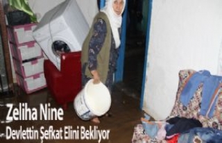 Zeliha Nine Devletin Şefkat Elini Bekliyor 