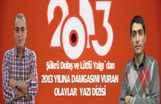 2013 YILINA DAMGASINI VURANLAR