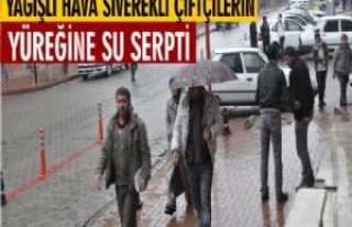 Yağışlı Hava Siverekli Çiftçilerin Yüreğine...