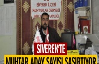 Siverek'te Muhtar Aday Sayısı Şaşırtıyor...