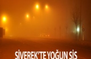 Siverek'te Yoğun Sis