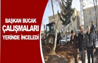 Başkan Bucak Çalışmaları Yerinde İnceledi 