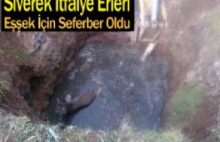 İtfaiye Erleri Eşşek İçin Seferber Oldu