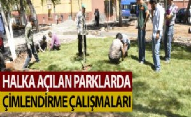 Halka Açılan Parklarda Çimlendirme Çalışmaları