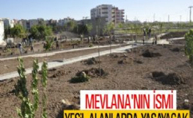  Mevlana'nın İsmi Yeşil Alanlarda Yaşayacak 