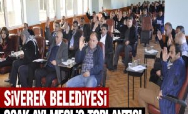 Siverek Belediyesi Ocak Ayı Meclis Toplantısı 