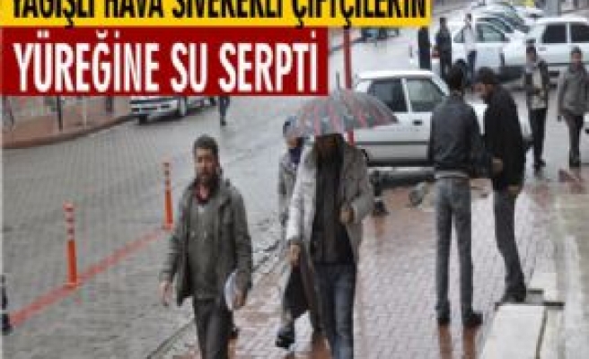 Yağışlı Hava Siverekli Çiftçilerin Yüreğine Su Serpti 