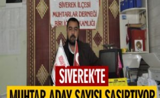 Siverek'te Muhtar Aday Sayısı Şaşırtıyor 