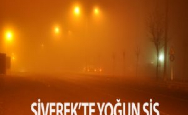 Siverek'te Yoğun Sis