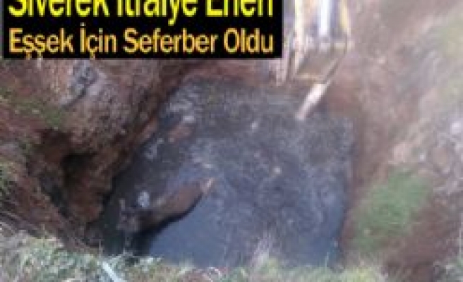 İtfaiye Erleri Eşşek İçin Seferber Oldu